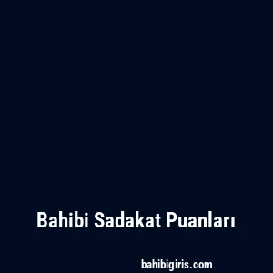 Bahibi Sadakat Puanları